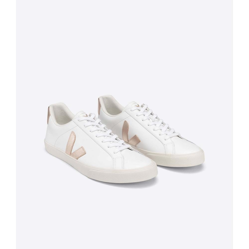 Veja ESPLAR LEATHER Tenisky Damske White/Brown | SK 606TCE